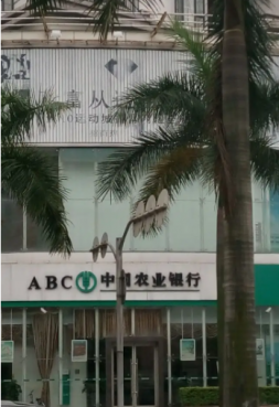 广州中国农业银行